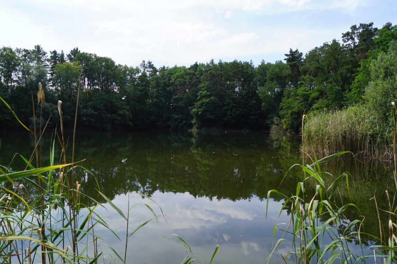 Ferienwohnung Rehagen Sued Am Mellensee エクステリア 写真