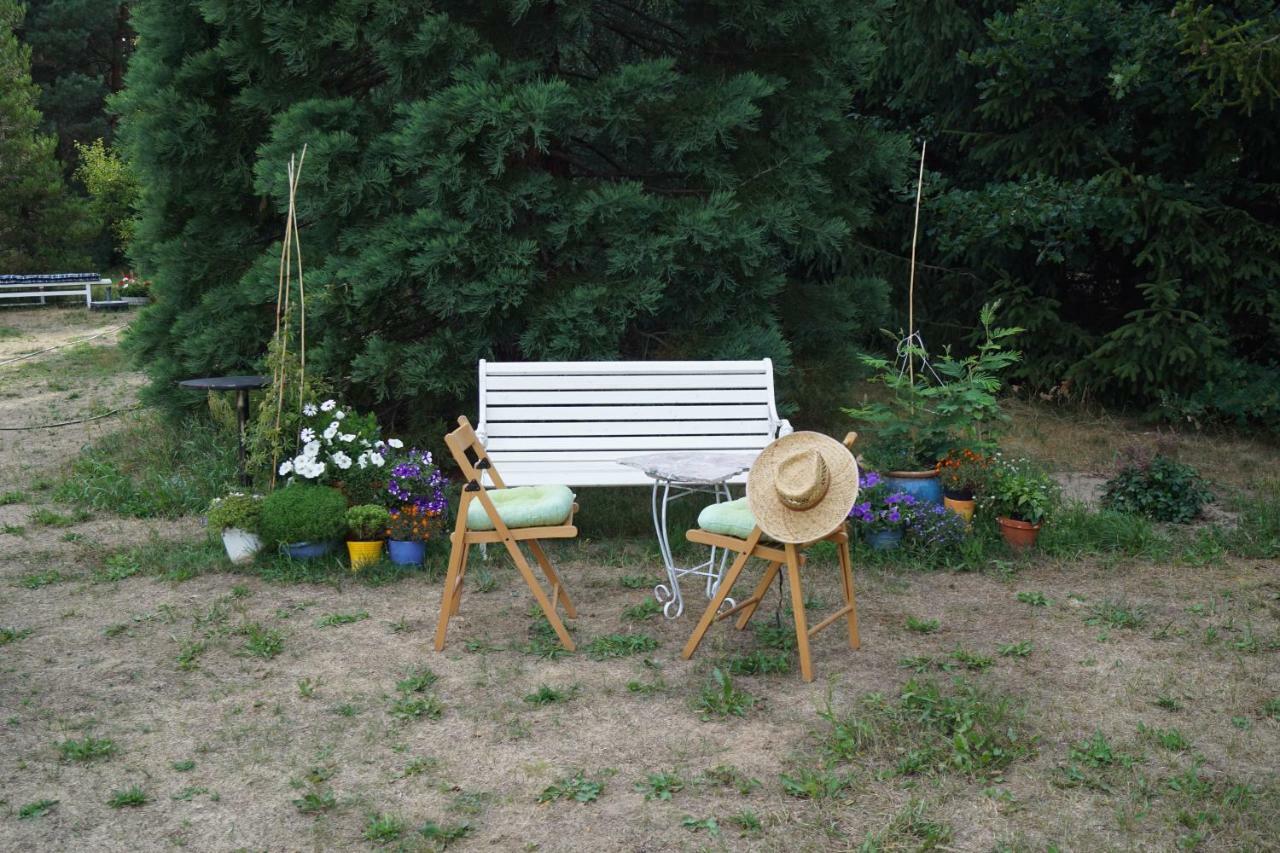Ferienwohnung Rehagen Sued Am Mellensee エクステリア 写真