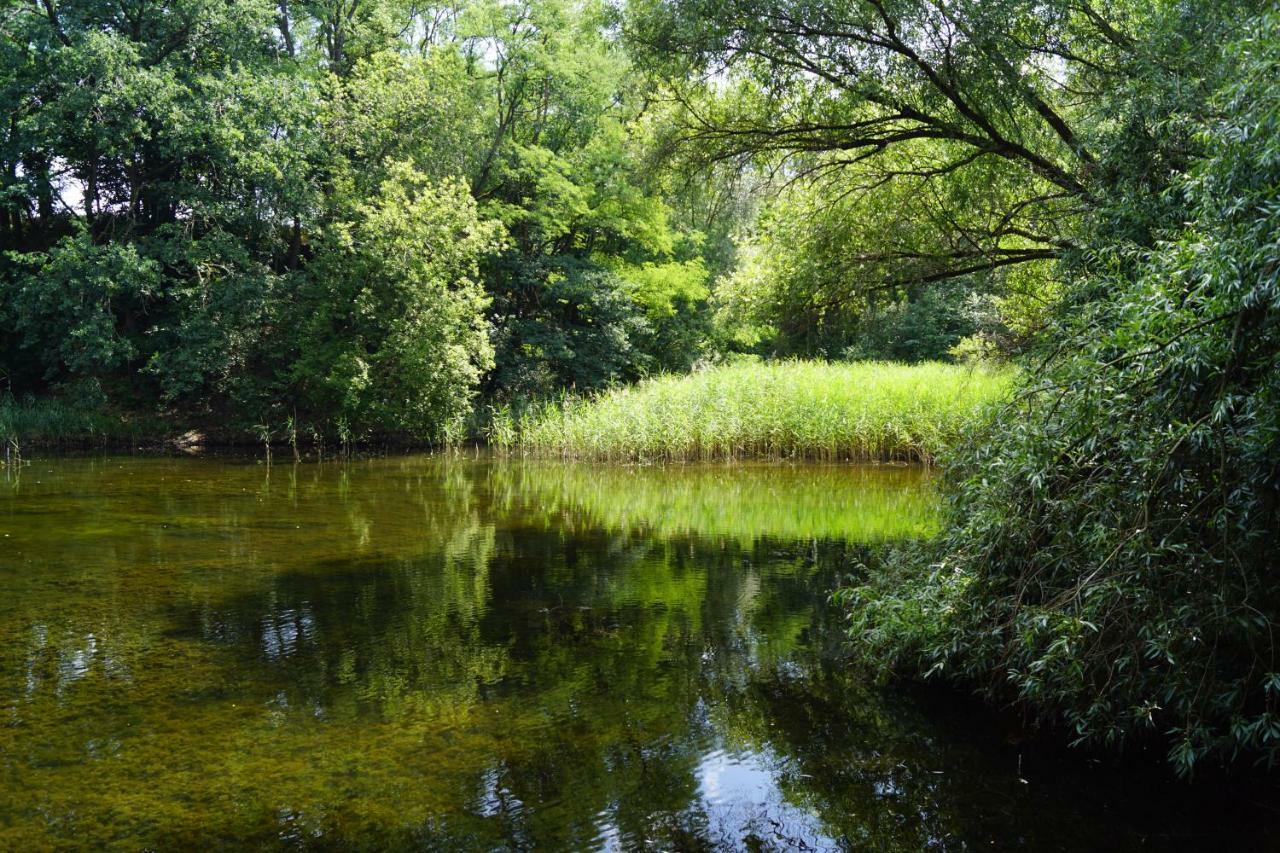 Ferienwohnung Rehagen Sued Am Mellensee エクステリア 写真